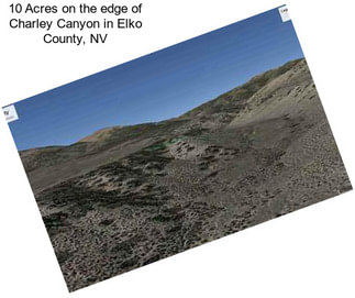 10 Acres on the edge of Charley Canyon in Elko County, NV