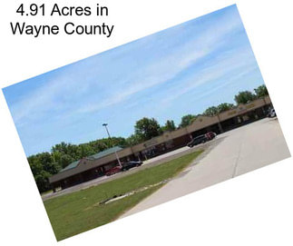 4.91 Acres in Wayne County