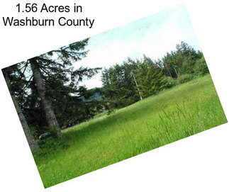 1.56 Acres in Washburn County