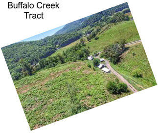 Buffalo Creek Tract