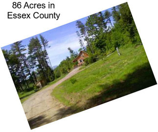 86 Acres in Essex County