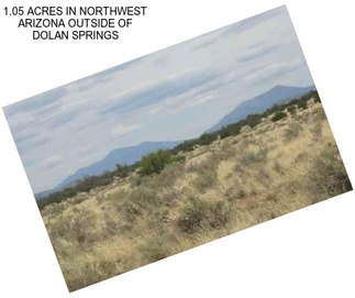 1.05 ACRES IN NORTHWEST ARIZONA OUTSIDE OF DOLAN SPRINGS