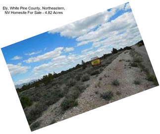 Ely, White Pine County, Northeastern, NV Homesite For Sale - 4.82 Acres