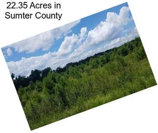 22.35 Acres in Sumter County