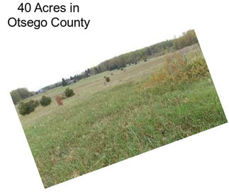 40 Acres in Otsego County