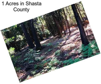 1 Acres in Shasta County