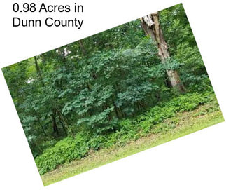 0.98 Acres in Dunn County