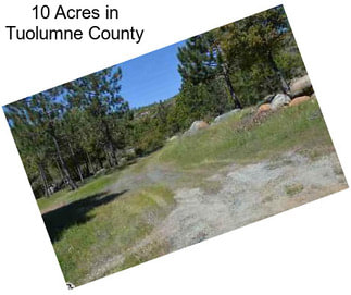 10 Acres in Tuolumne County