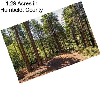 1.29 Acres in Humboldt County