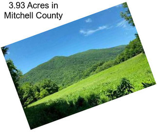 3.93 Acres in Mitchell County