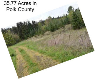 35.77 Acres in Polk County