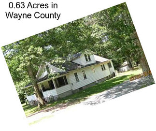 0.63 Acres in Wayne County