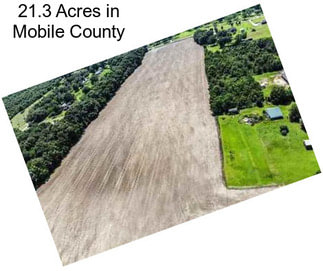 21.3 Acres in Mobile County