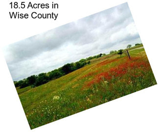 18.5 Acres in Wise County