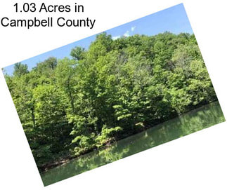 1.03 Acres in Campbell County