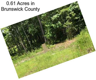 0.61 Acres in Brunswick County