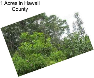 1 Acres in Hawaii County