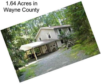 1.64 Acres in Wayne County