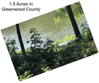 1.5 Acres in Greenwood County