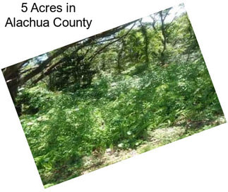 5 Acres in Alachua County