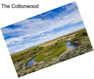 The Cottonwood