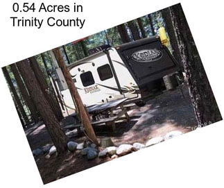 0.54 Acres in Trinity County