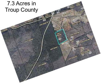 7.3 Acres in Troup County