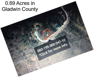 0.69 Acres in Gladwin County