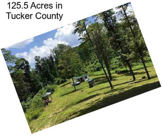125.5 Acres in Tucker County