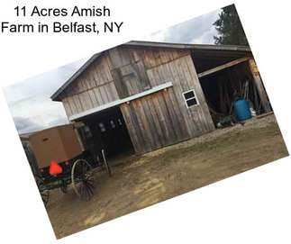 11 Acres Amish Farm in Belfast, NY