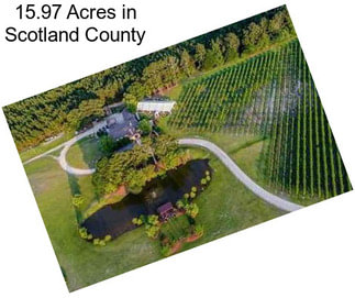 15.97 Acres in Scotland County