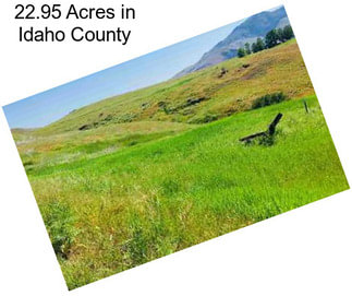 22.95 Acres in Idaho County