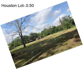 Houston Lot-.0.50