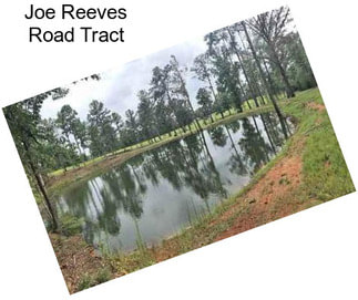 Joe Reeves Road Tract