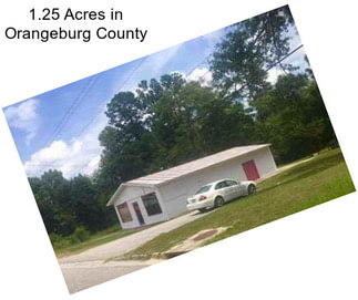 1.25 Acres in Orangeburg County