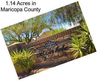 1.14 Acres in Maricopa County