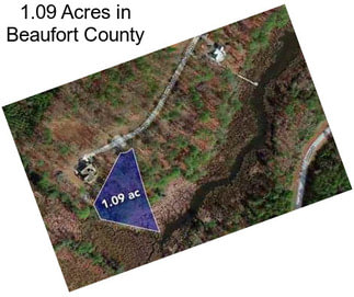 1.09 Acres in Beaufort County