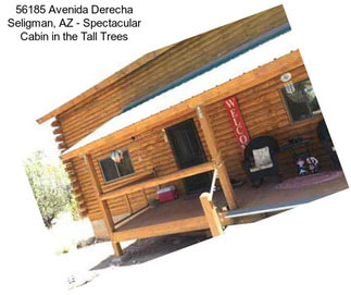 56185 Avenida Derecha Seligman, AZ - Spectacular Cabin in the Tall Trees