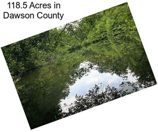 118.5 Acres in Dawson County