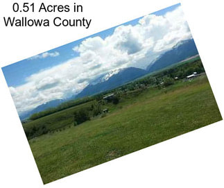 0.51 Acres in Wallowa County