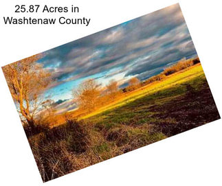 25.87 Acres in Washtenaw County