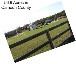 56.9 Acres in Calhoun County