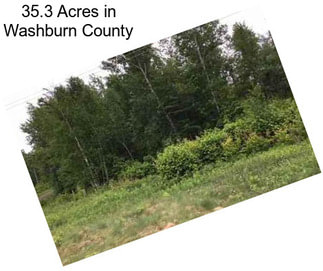 35.3 Acres in Washburn County