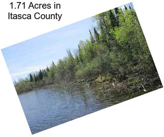 1.71 Acres in Itasca County