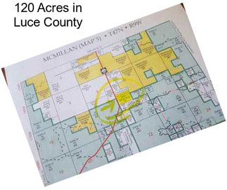 120 Acres in Luce County