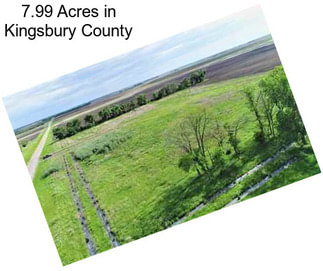 7.99 Acres in Kingsbury County