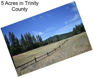 5 Acres in Trinity County