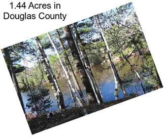 1.44 Acres in Douglas County