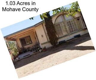 1.03 Acres in Mohave County