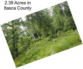 2.39 Acres in Itasca County